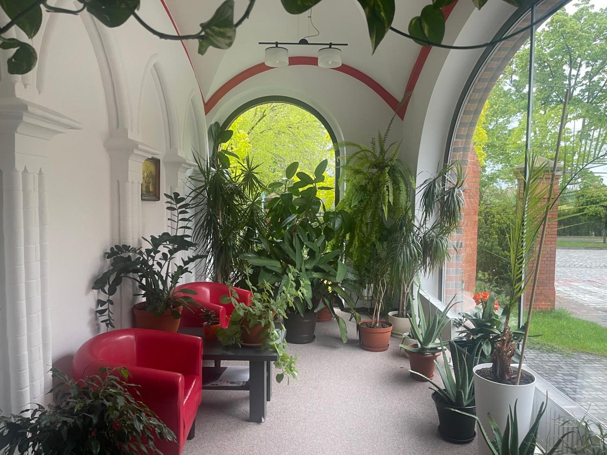 Szkolne Schronisko Młodzieżowe Dąbrówka Prudnik Exterior foto